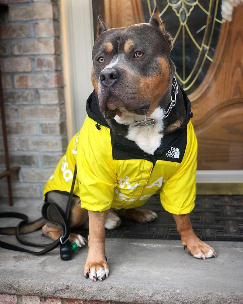 Dog Windbreaker Hoodie Jacket