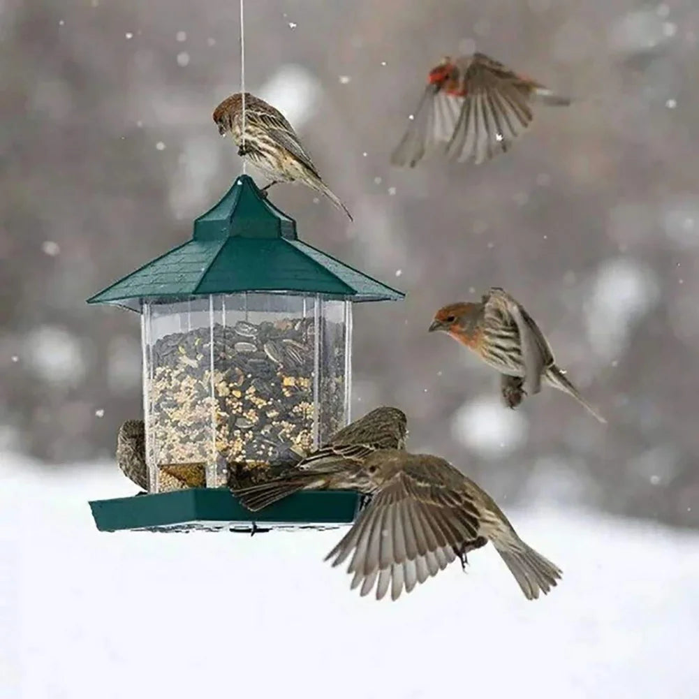 Hanging Bird Feeder