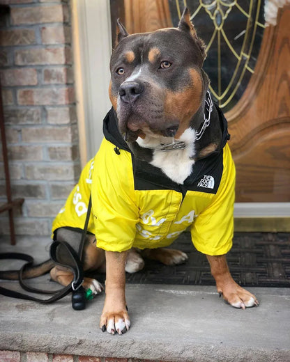 Dog Windbreaker Hoodie Jacket