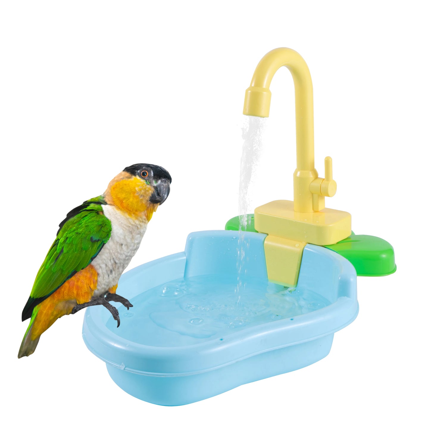 Bird Shower