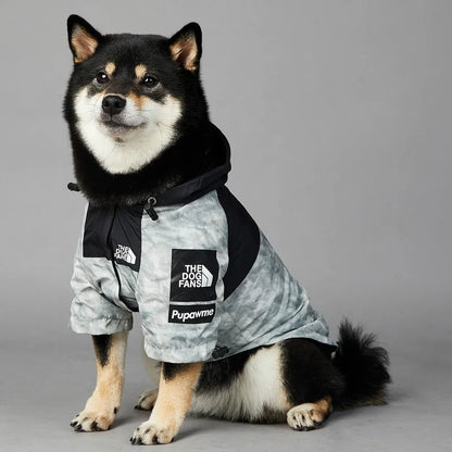 Dog Windbreaker Hoodie Jacket