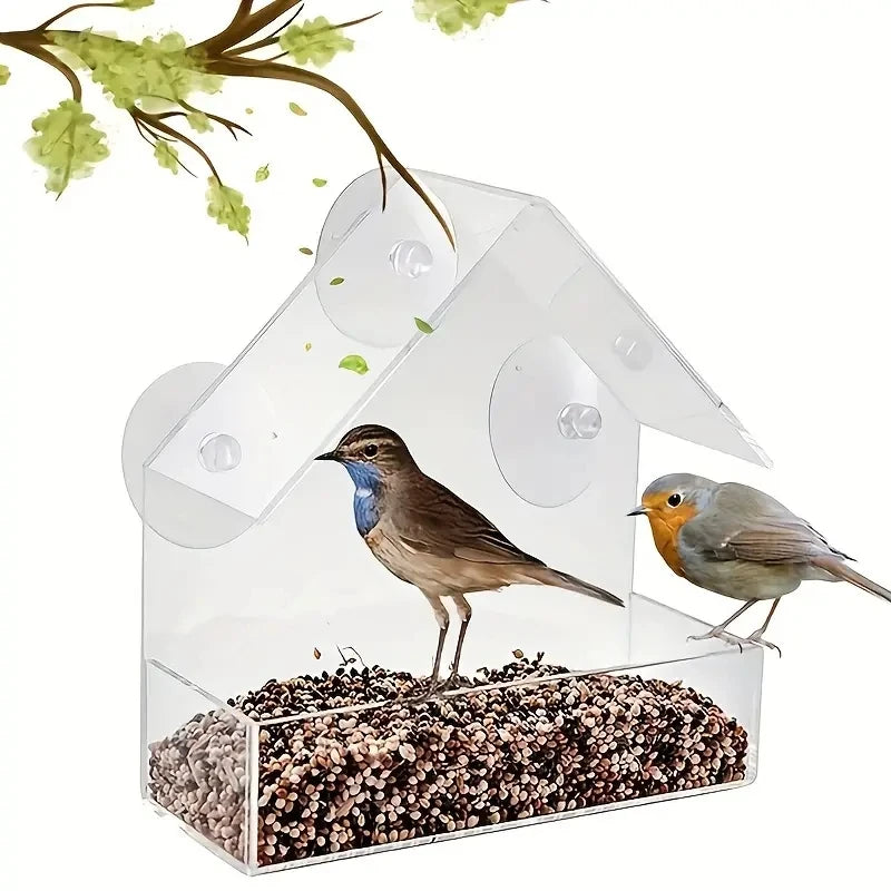 Hanging Bird Feeder