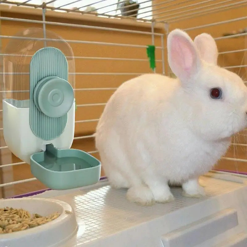 Rabbit Hanging Water Dispenser