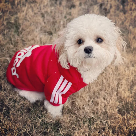 Cotton Hooded Dog Sweatshirt