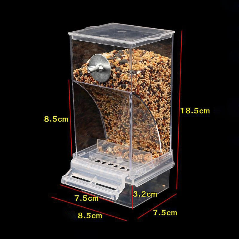 Bird Splash Food Container