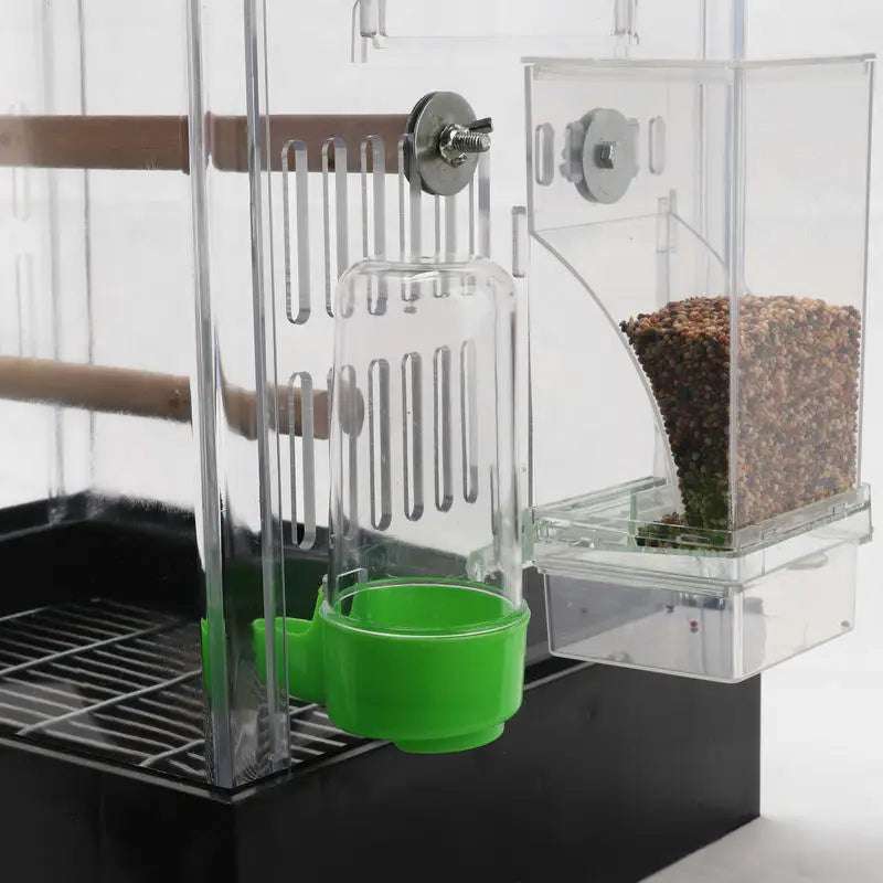 Bird Splash Food Container
