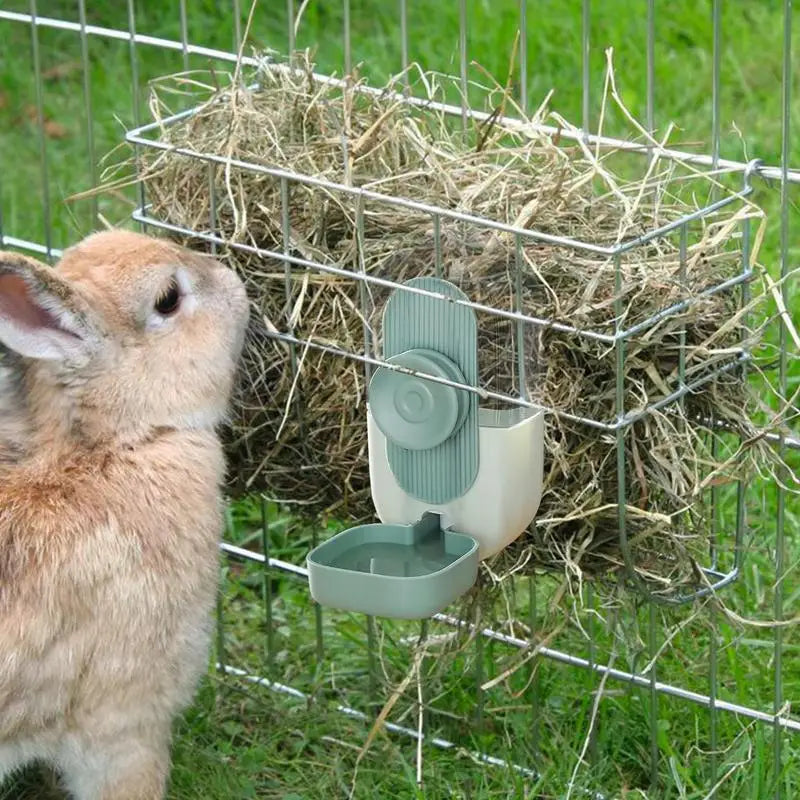 Rabbit Hanging Water Dispenser