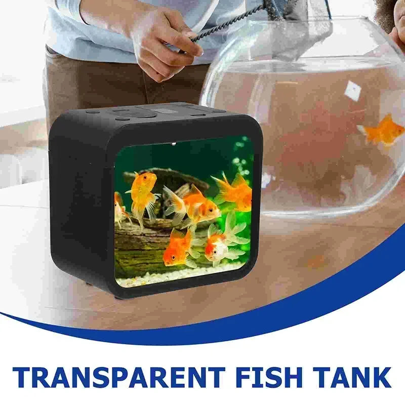 Mini Transparent fish tank