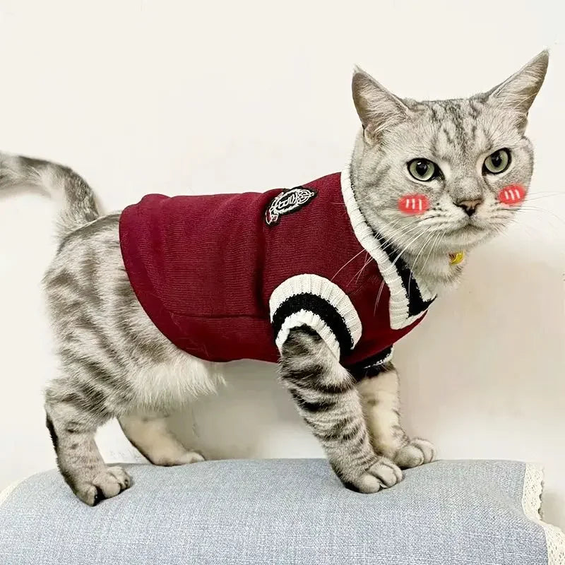 Autumn Winter Cat Sweater