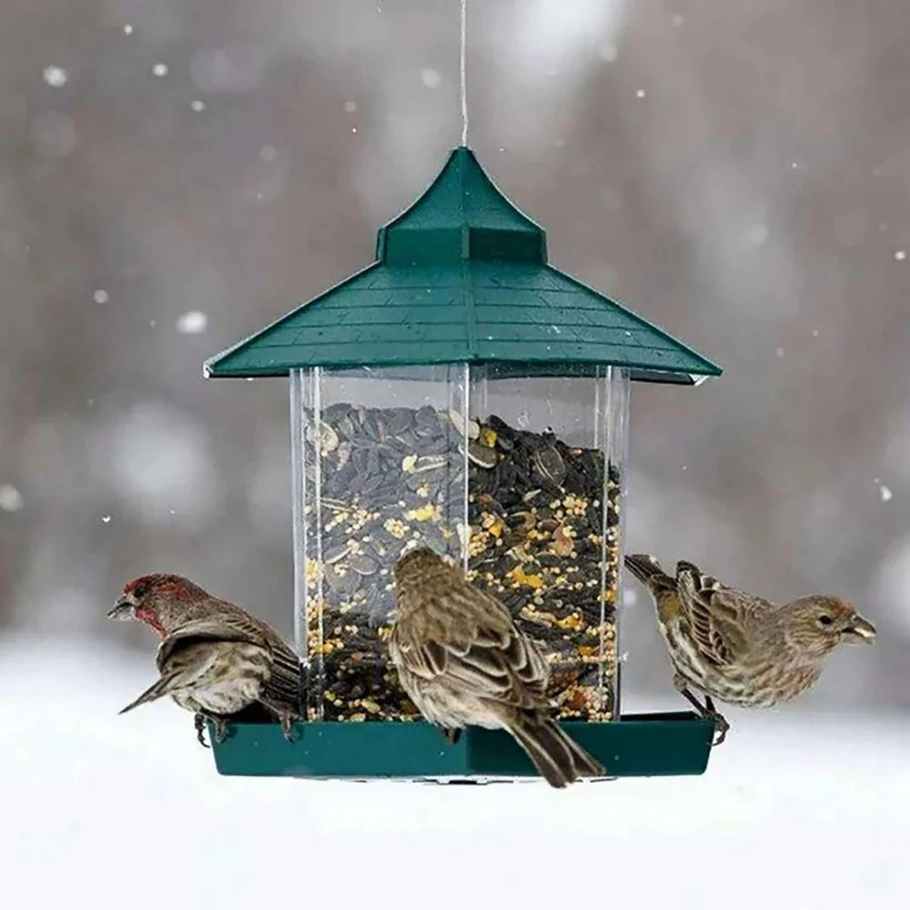 Hanging Bird Feeder