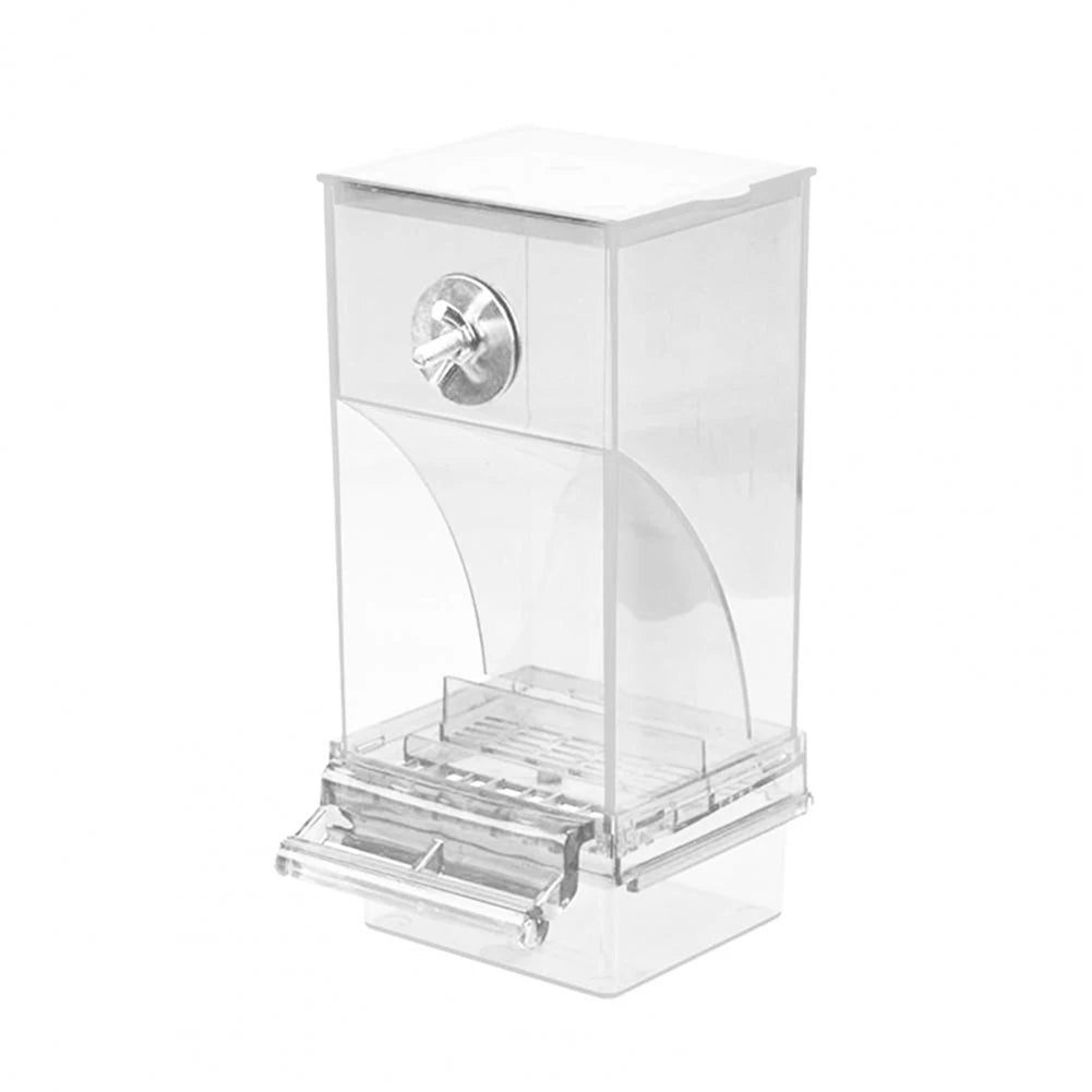 Bird Splash Food Container