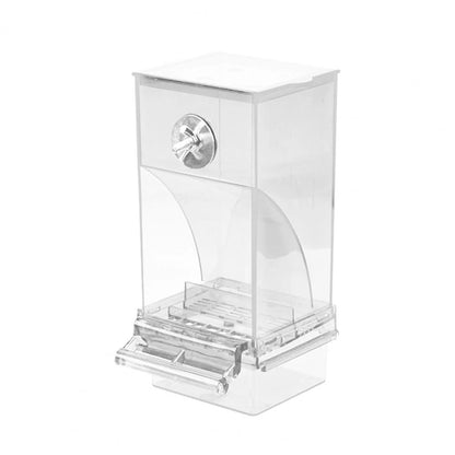 Bird Splash Food Container