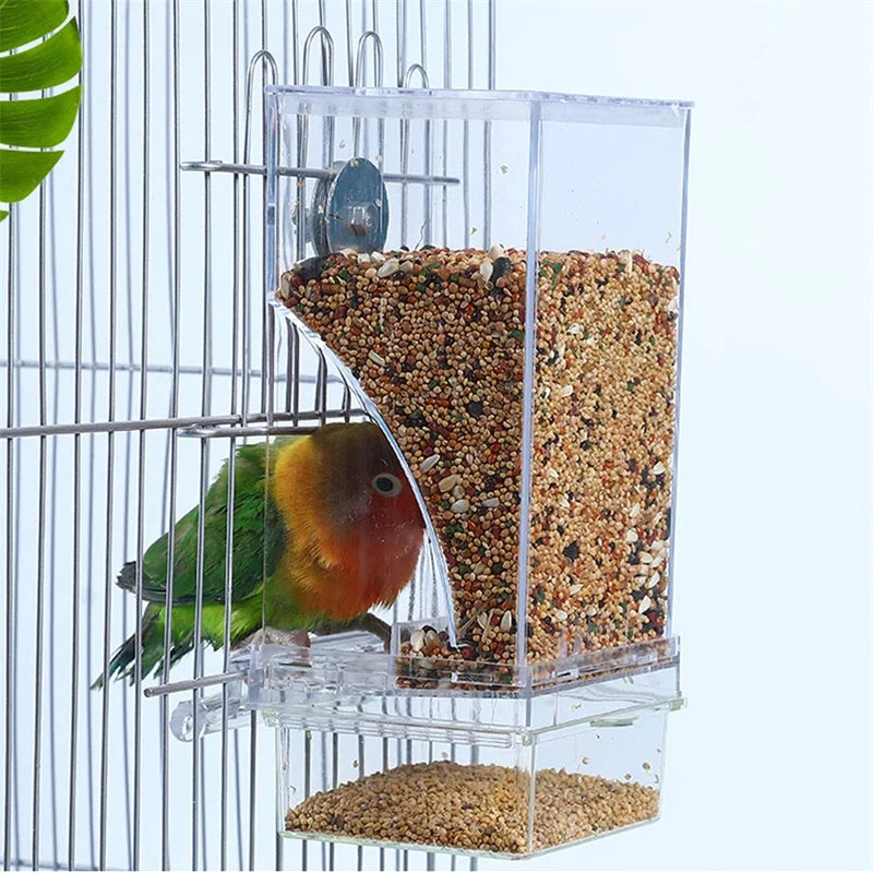 Bird Splash Food Container