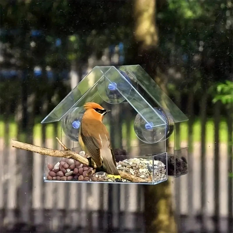Hanging Bird Feeder