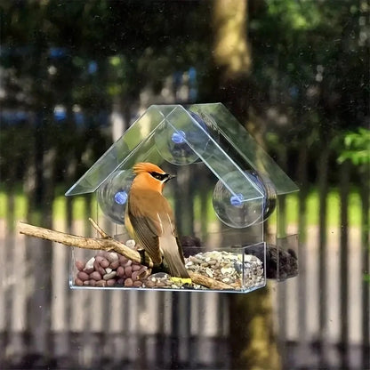 Hanging Bird Feeder