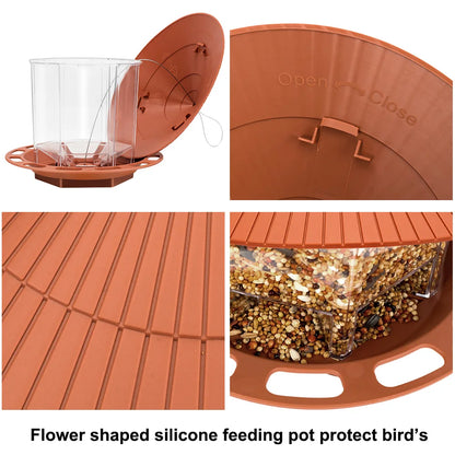 Automatic Bird Feeder
