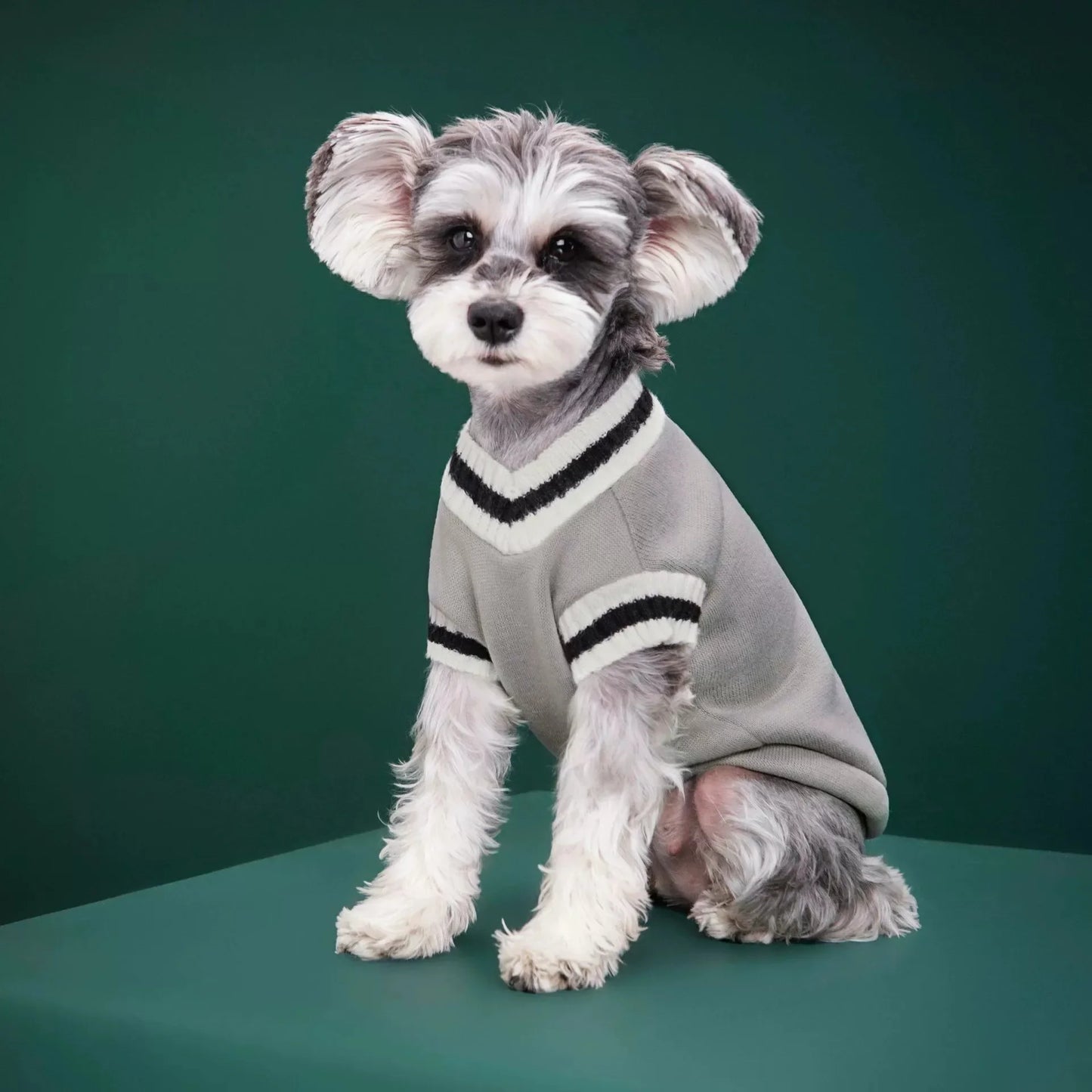 Autumn Winter Cat Sweater