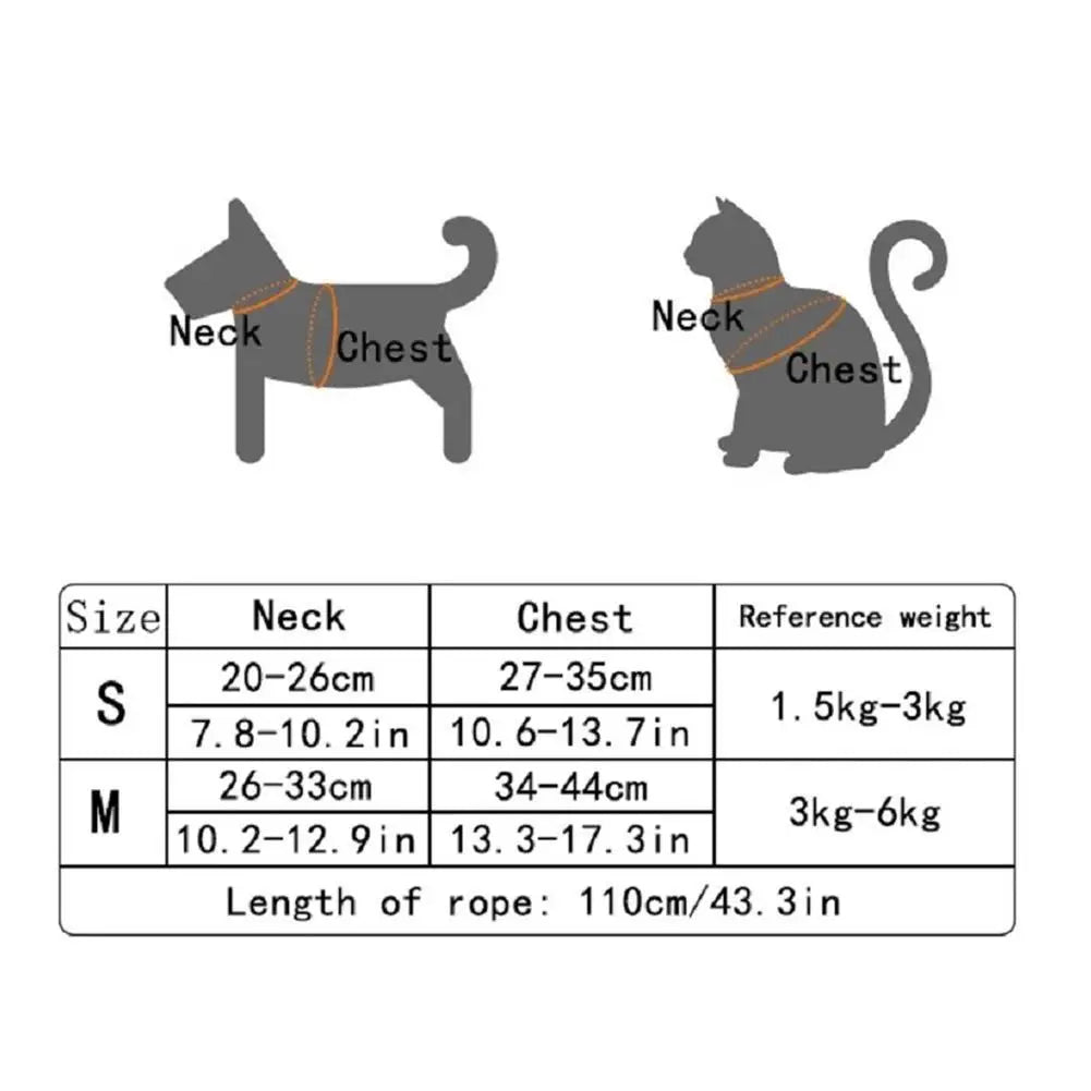 Cute Bear Cat Harness and Leash Set