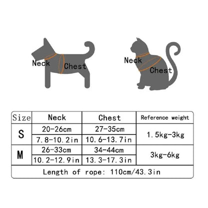 Cute Bear Cat Harness and Leash Set