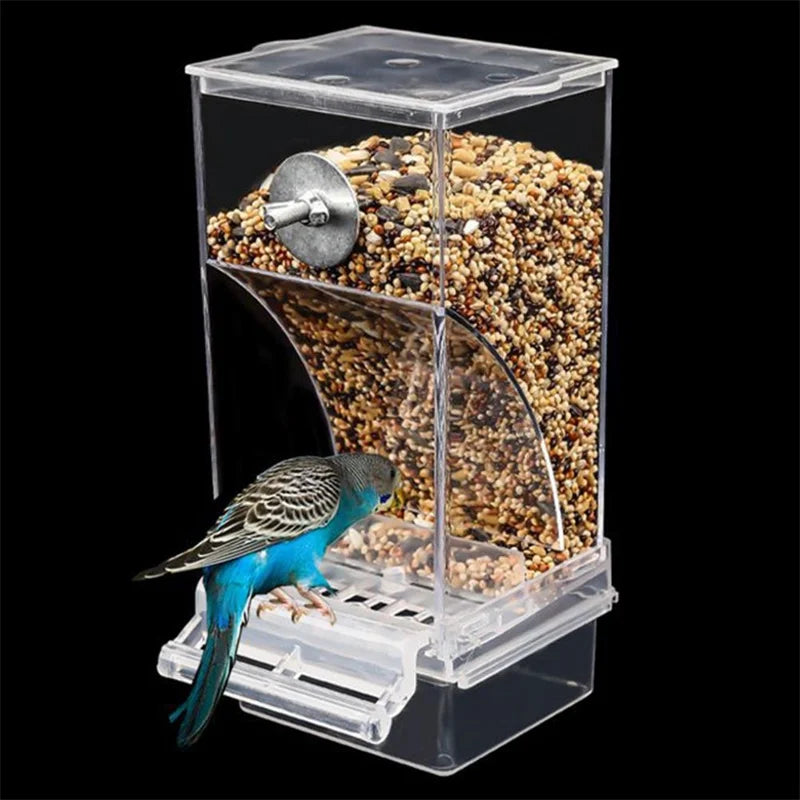 Bird Splash Food Container