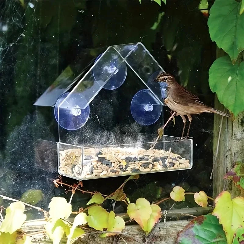Hanging Bird Feeder