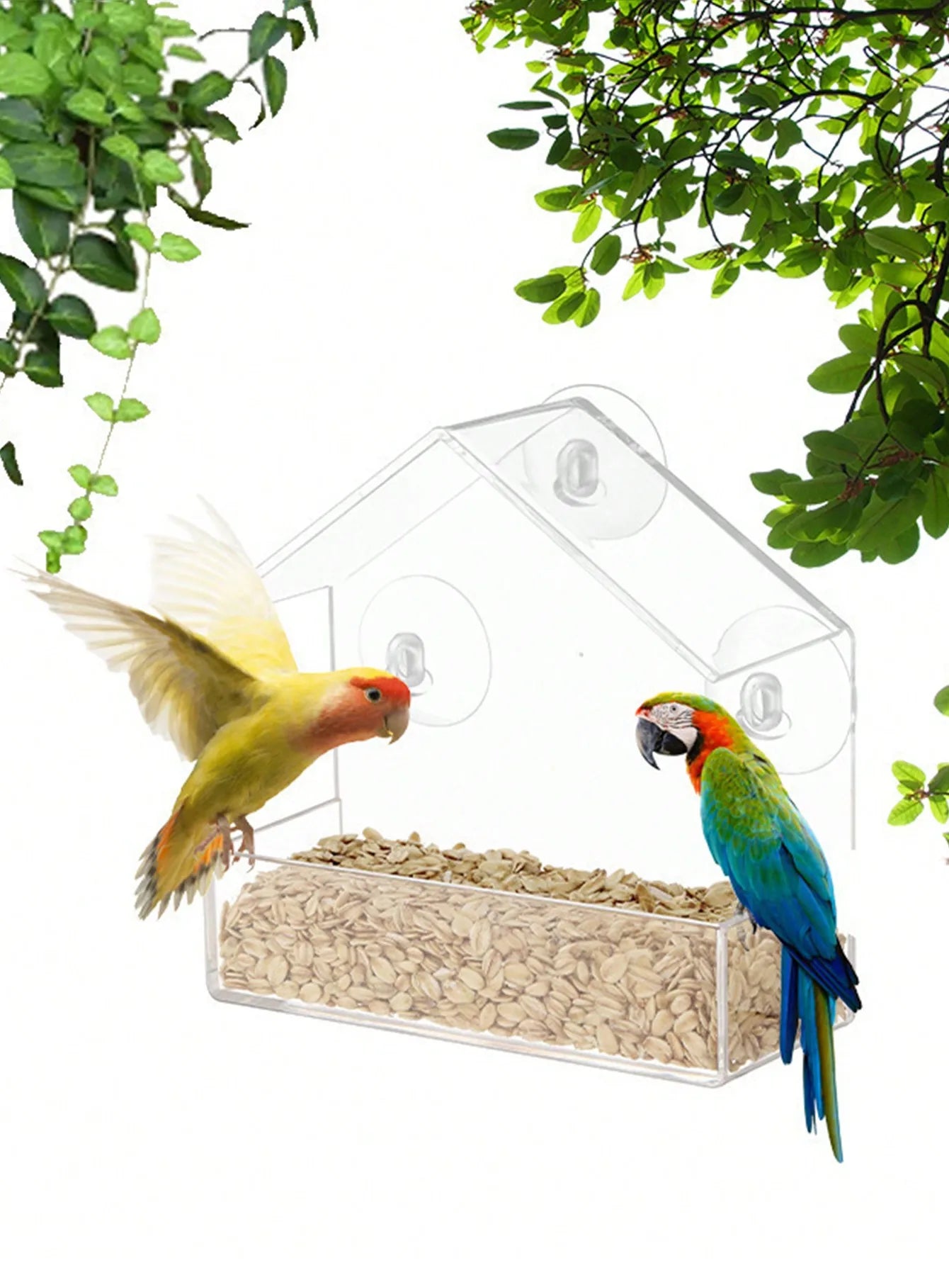 Hanging Bird Feeder