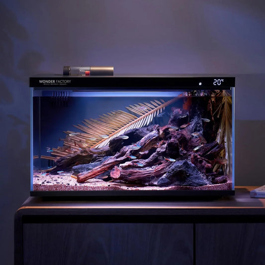 Smart Aquarium Fish Tank