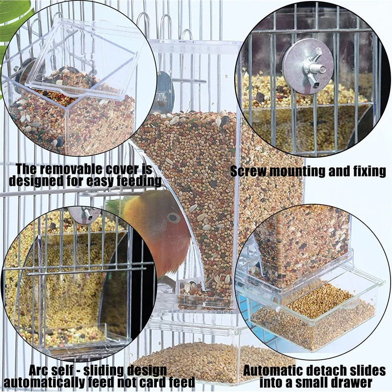 Bird Splash Food Container